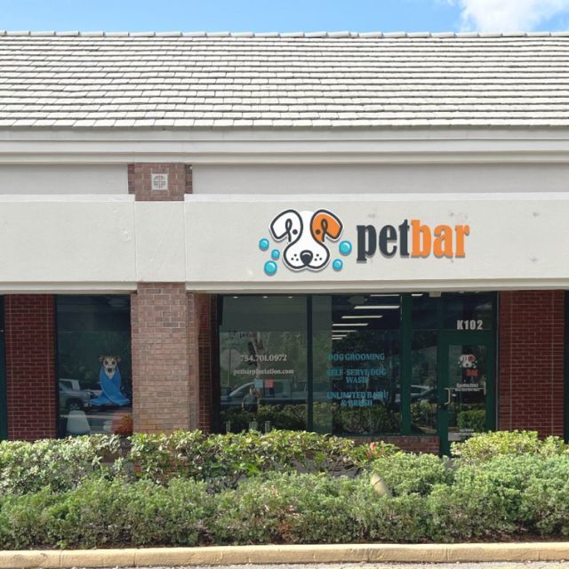 Expert Dog Grooming Dog Washing In Plantation FL Petbar